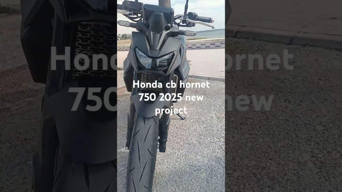La nouvelle honda cb hornet 750 : un projet captivant à découvrir bientôt